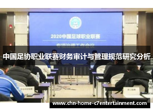 中国足协职业联赛财务审计与管理规范研究分析 中国足协职业联赛财务审计与管理规范研究分析
