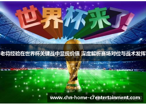 老将经验在世界杯关键战中显现价值 深度解析赛场对位与战术发挥