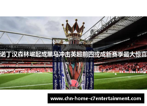 诺丁汉森林崛起成黑马冲击英超前四或成新赛季最大惊喜